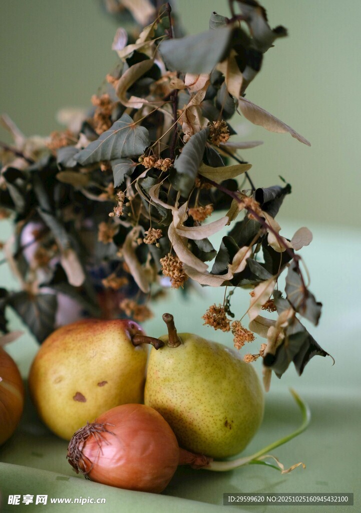 梨与枝叶的静物组合