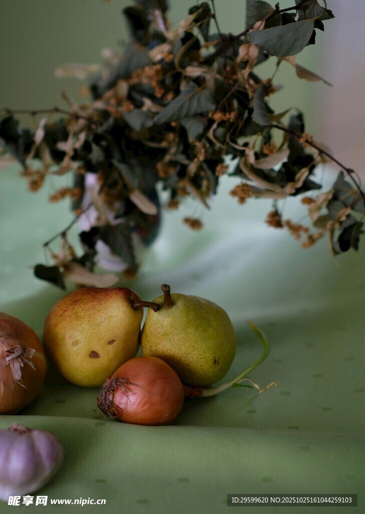 静物蔬果与枝叶的组合