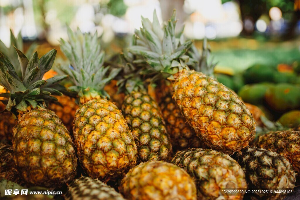 新鲜菠萝堆成诱人景象