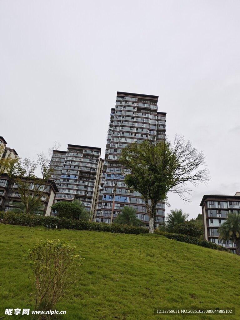 城市草地旁的现代高楼