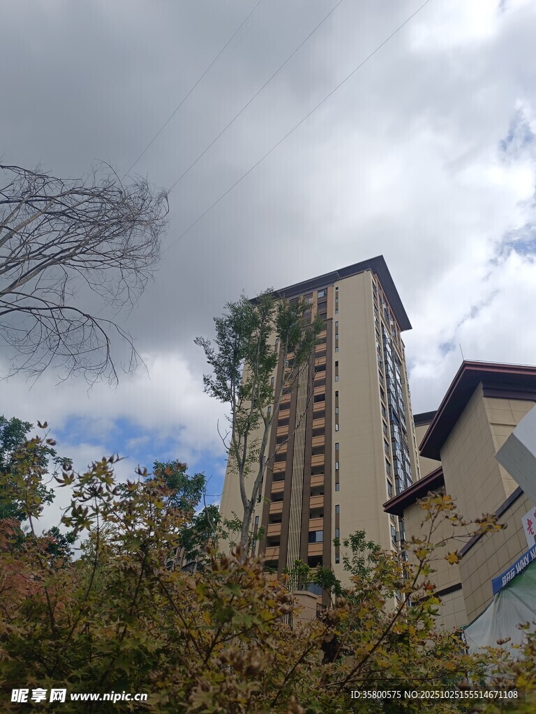 高楼耸立在繁茂植被间