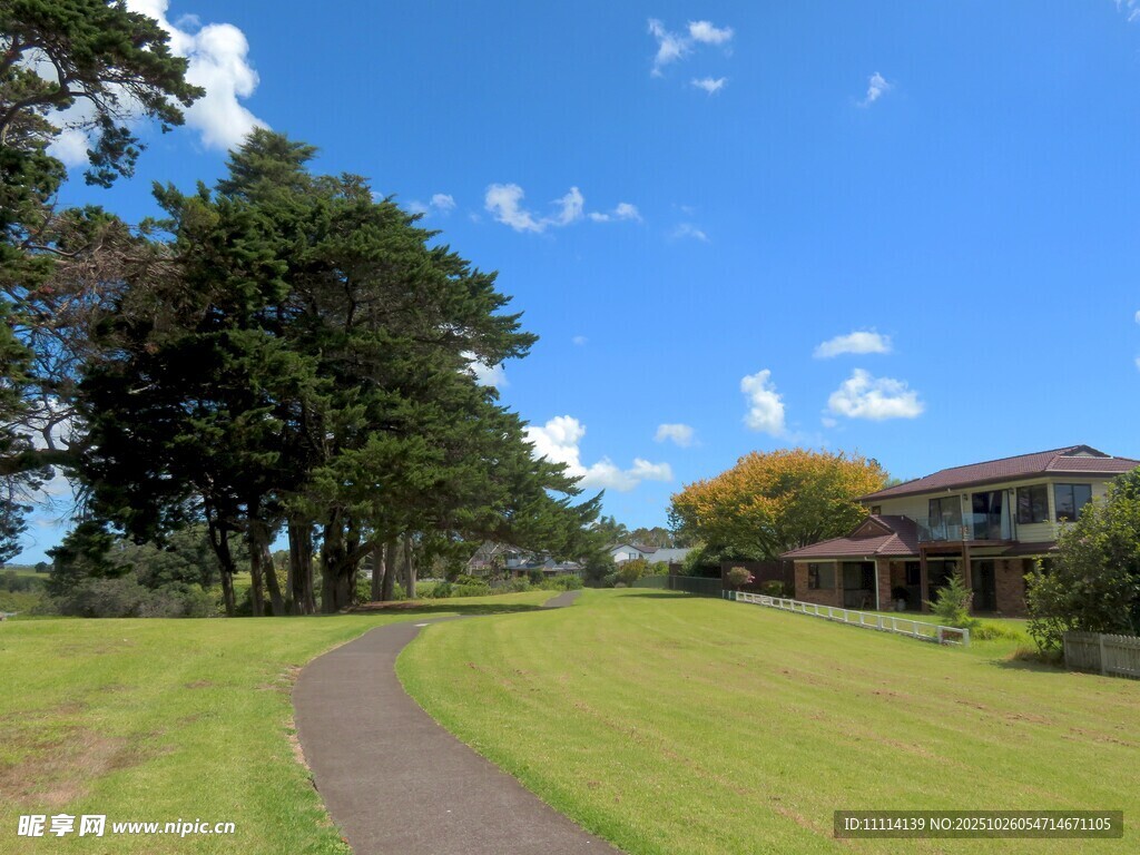 田园小径旁的绿树与房屋