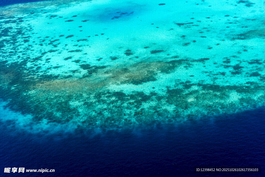 海底美丽珊瑚礁景观