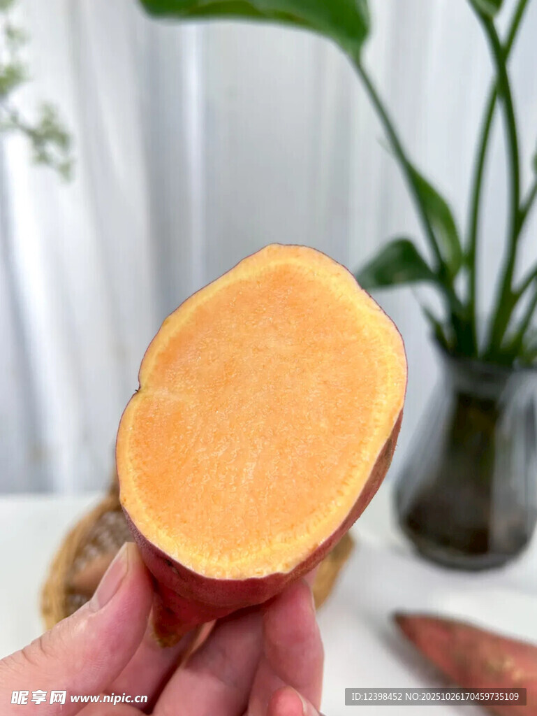 手持切开的新鲜红薯