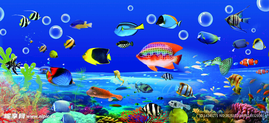 海底世界奇幻景象