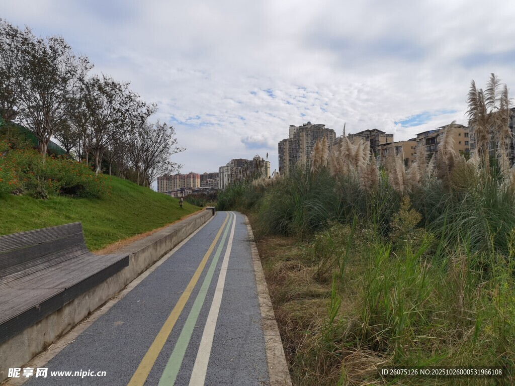 郊外公路旁的自然与建筑景观