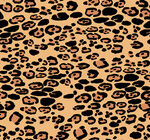 豹纹图案纹理背景