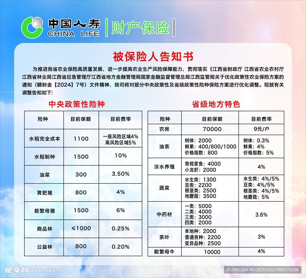 中国人寿财产保险