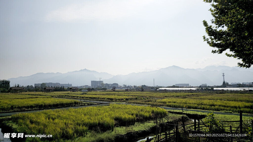 田园风光中的宁静景致