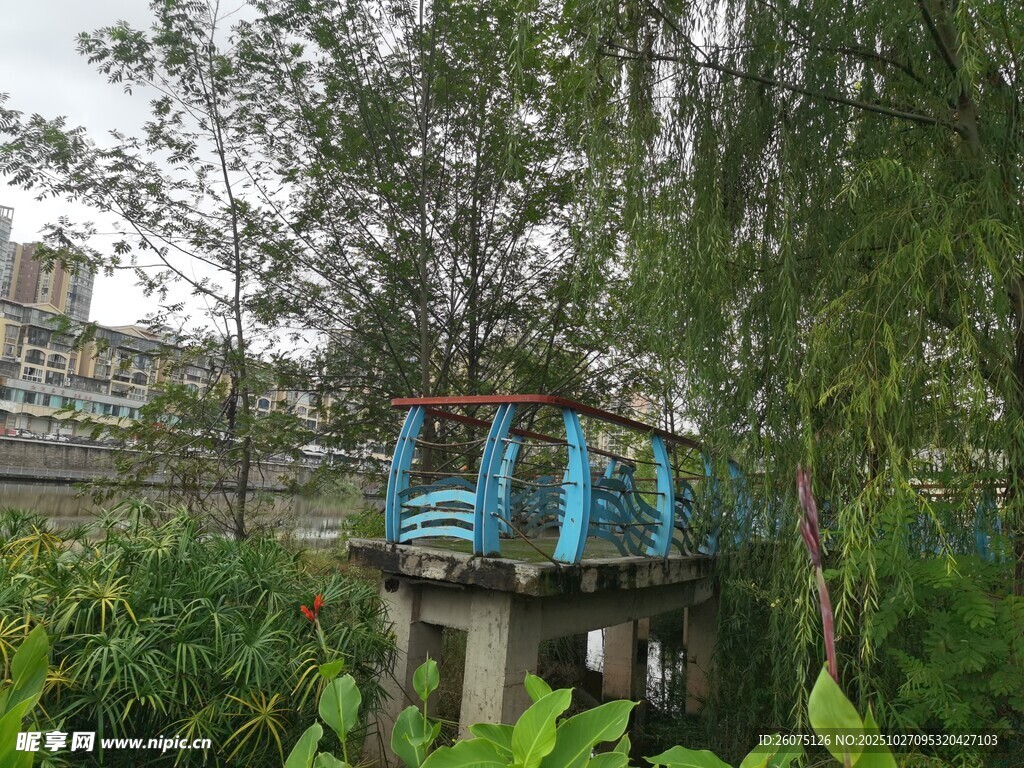 林中蓝桥自然静谧景致