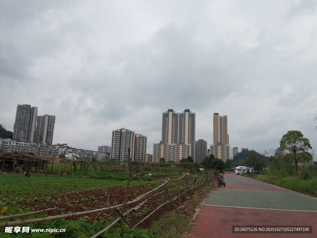 城郊小路旁的高楼与绿地