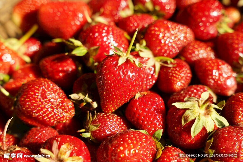 新鲜饱满的草莓堆