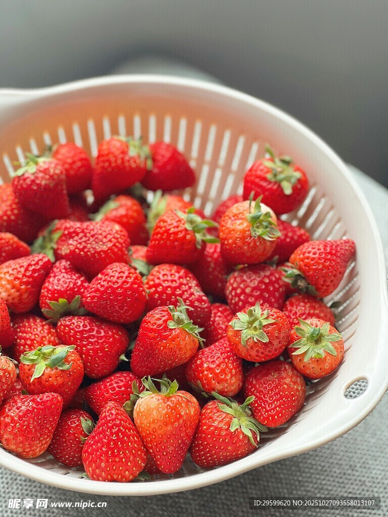 满满一盆新鲜红草莓