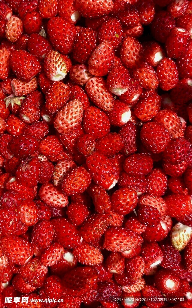 饱满鲜红的成熟草莓