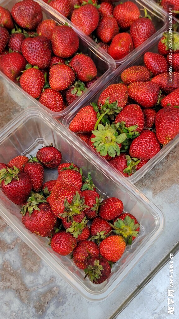 新鲜盒装草莓待品尝