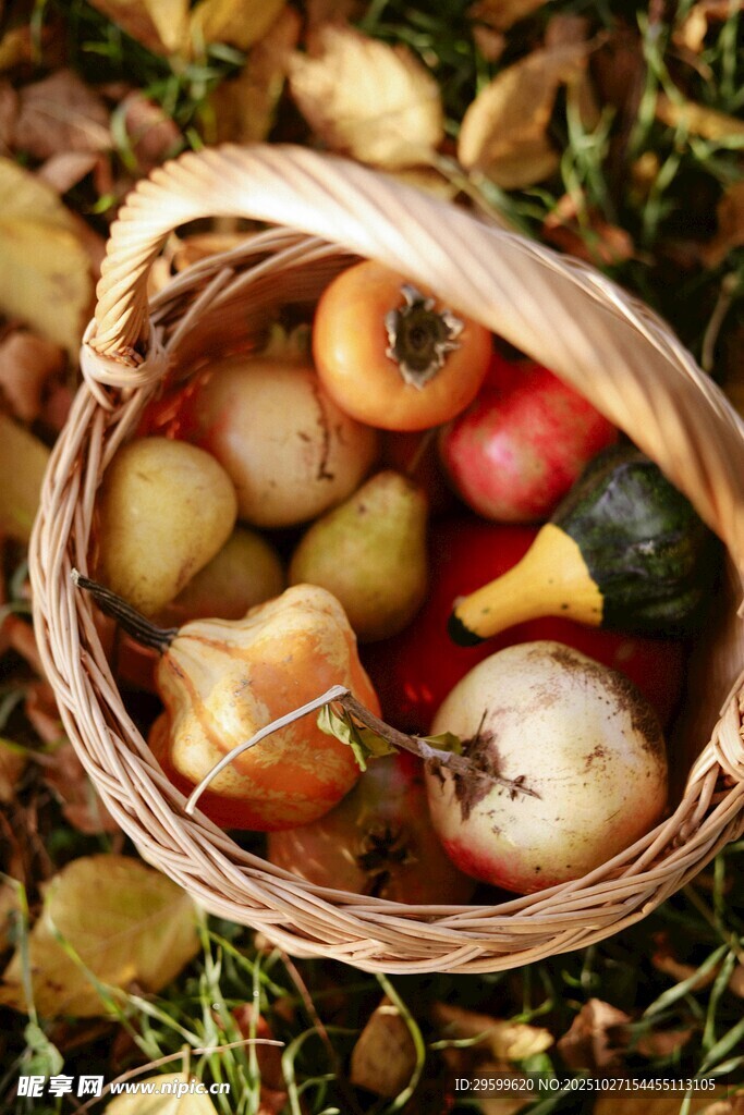 装满多彩蔬果的编织篮