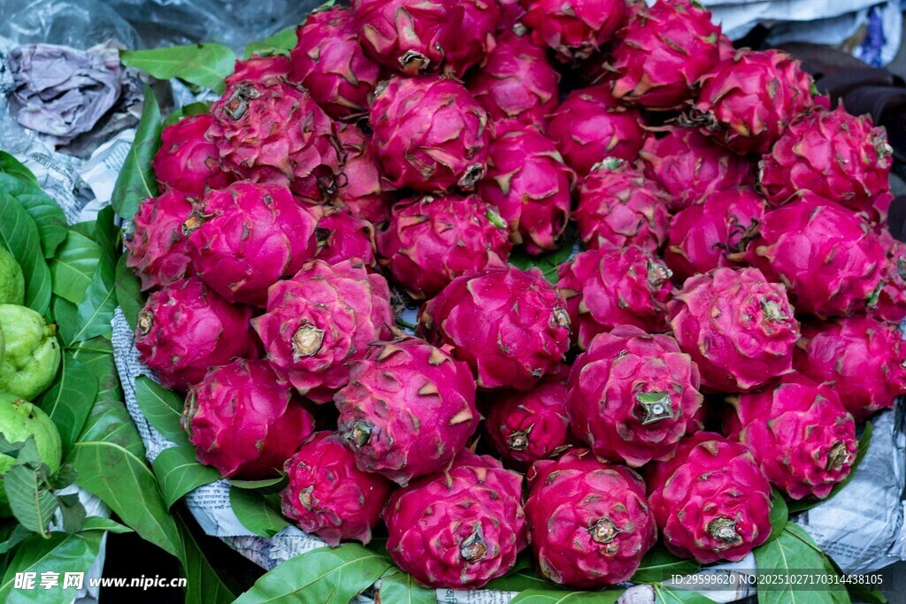 新鲜饱满的火龙果堆成小山