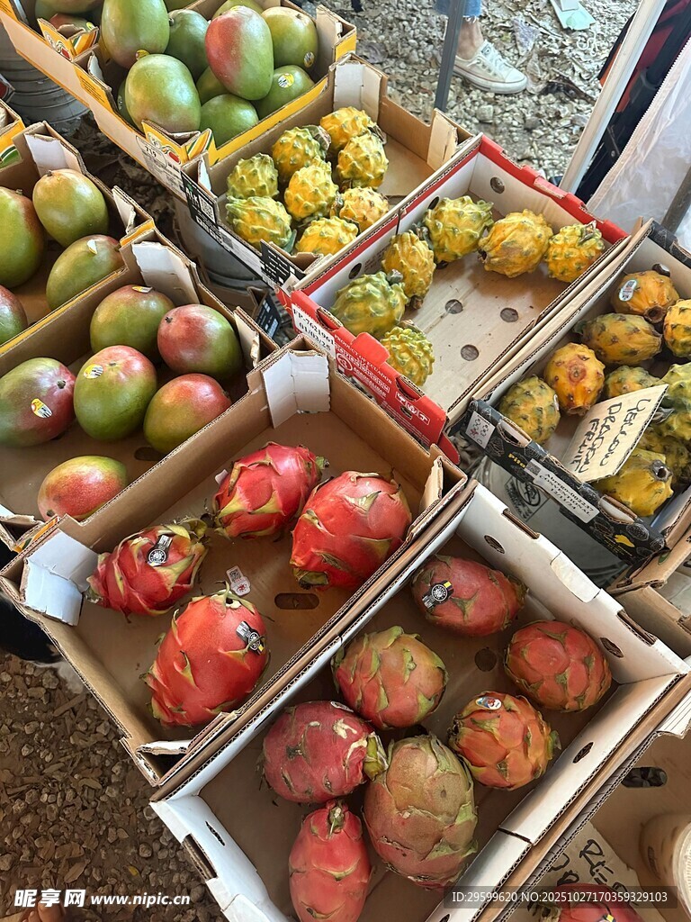 多样水果整齐摆放售卖