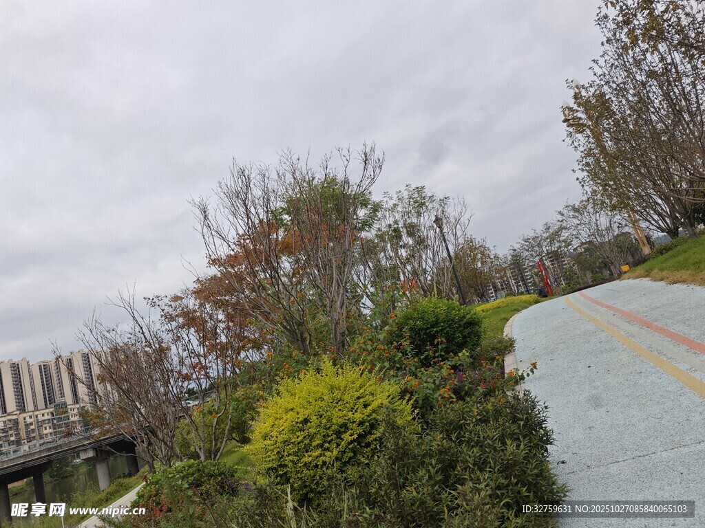 户外绿植环绕的步道景观