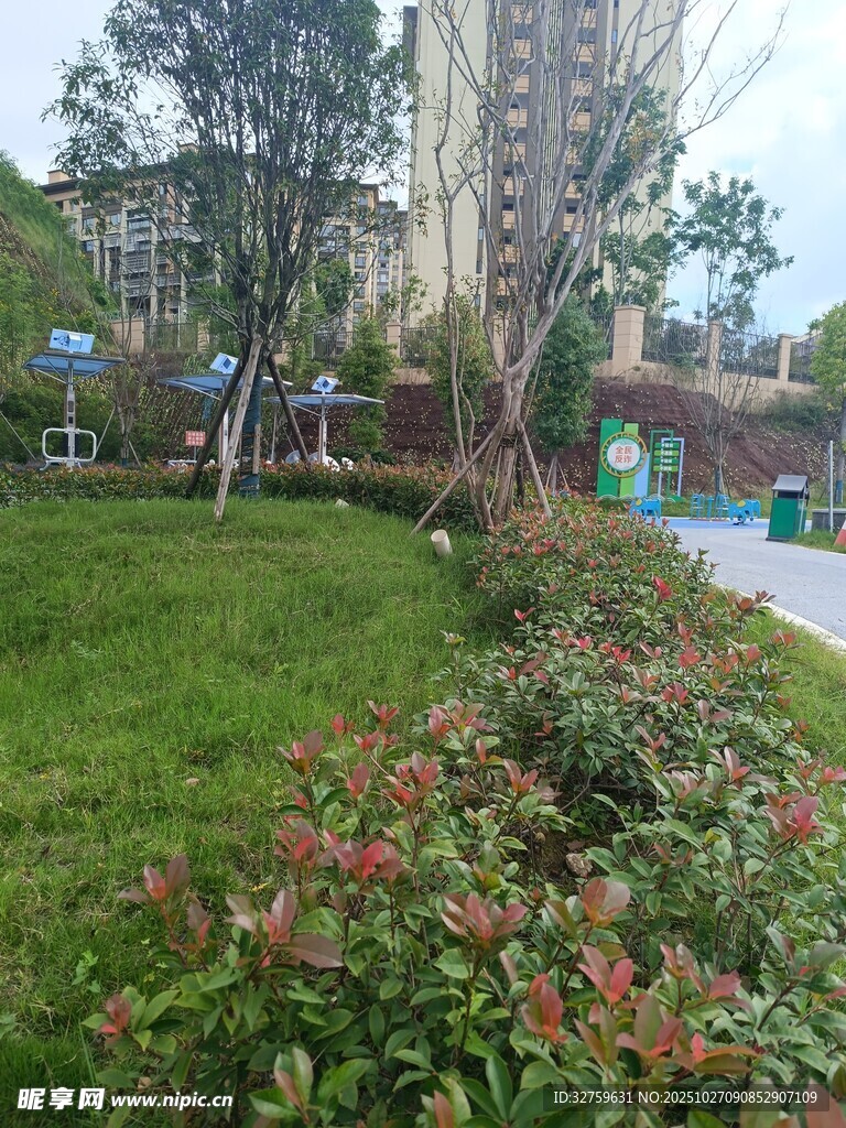 小区内的绿植花卉景观