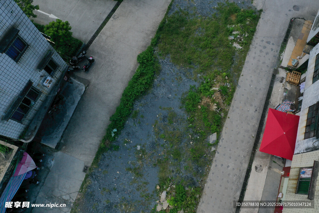 屋顶视角下的绿植与建筑