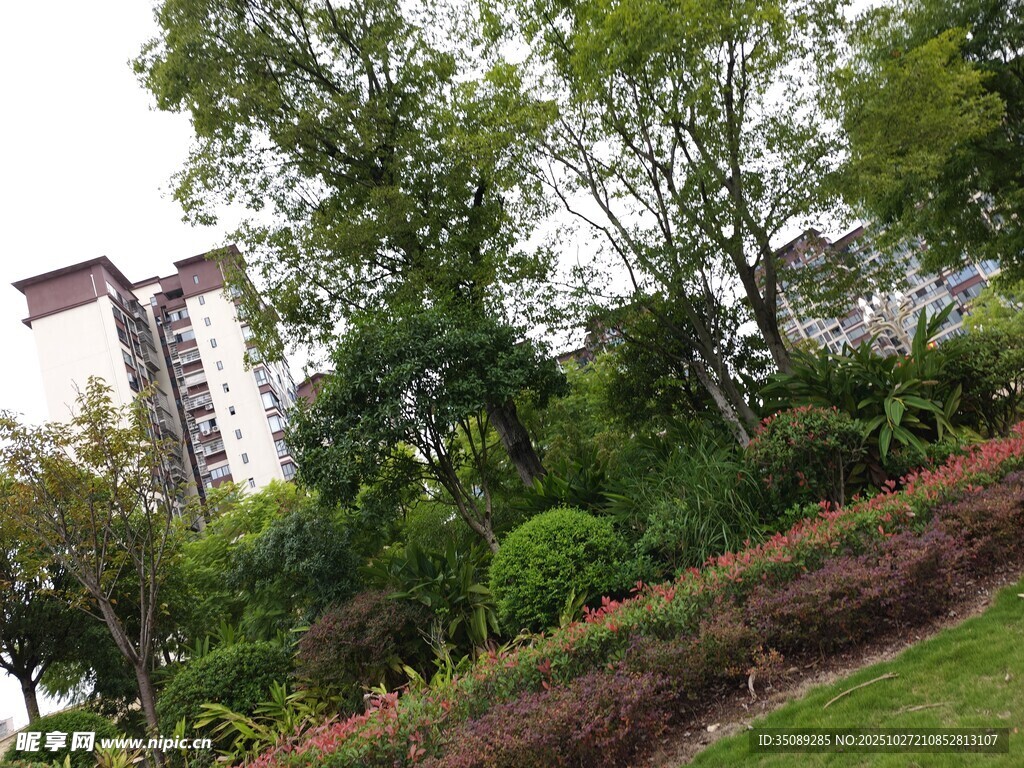 城市中的绿植景观