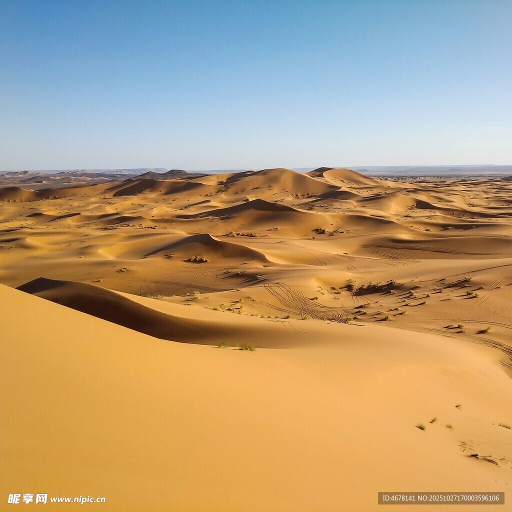 广袤沙漠风光