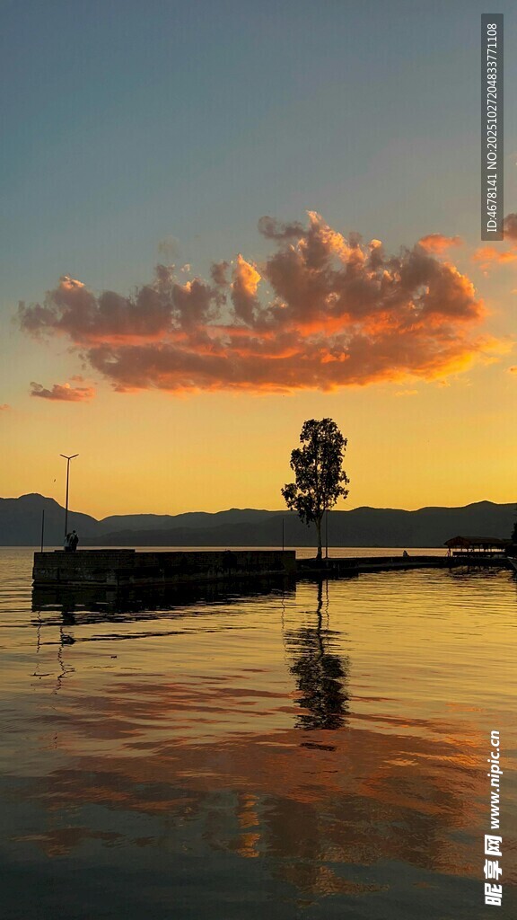 湖畔落日孤树美景