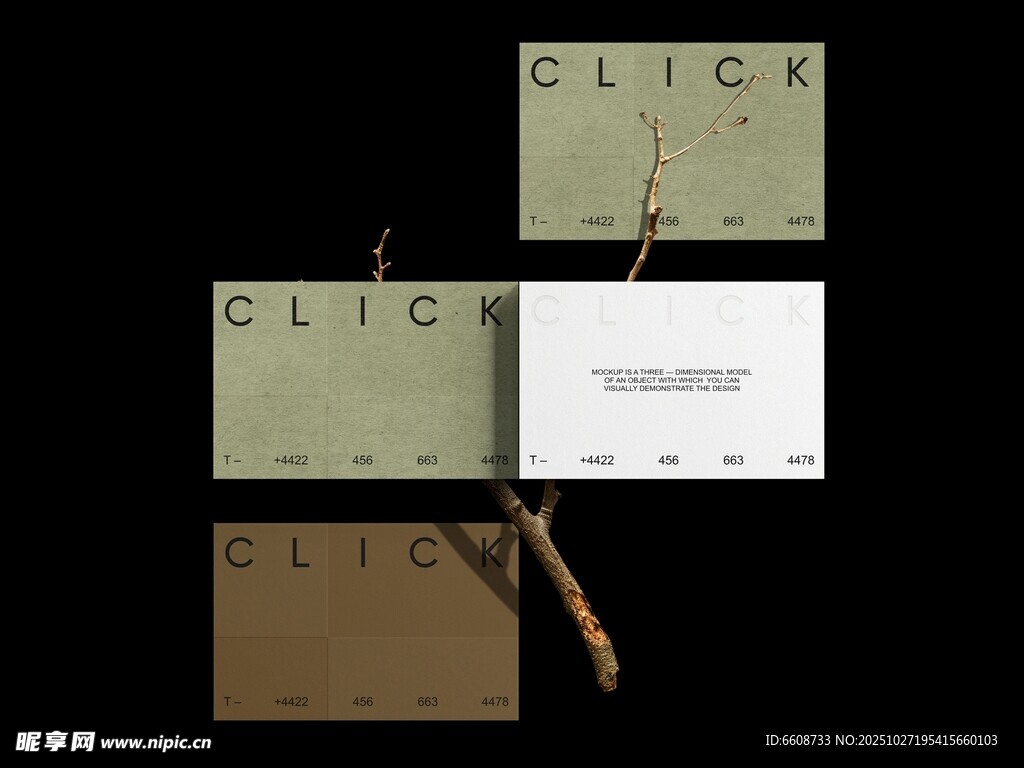 简约风卡片与树枝展示