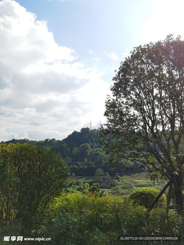 郊外绿意盎然的自然景致