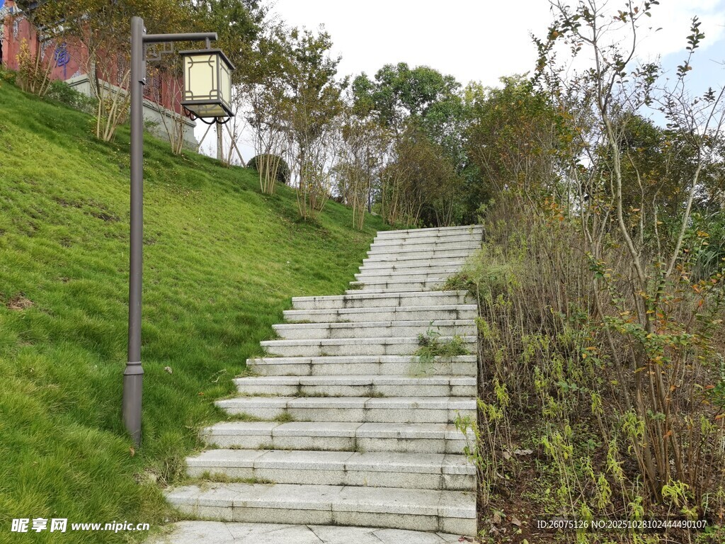 山间木阶小径绿意相伴