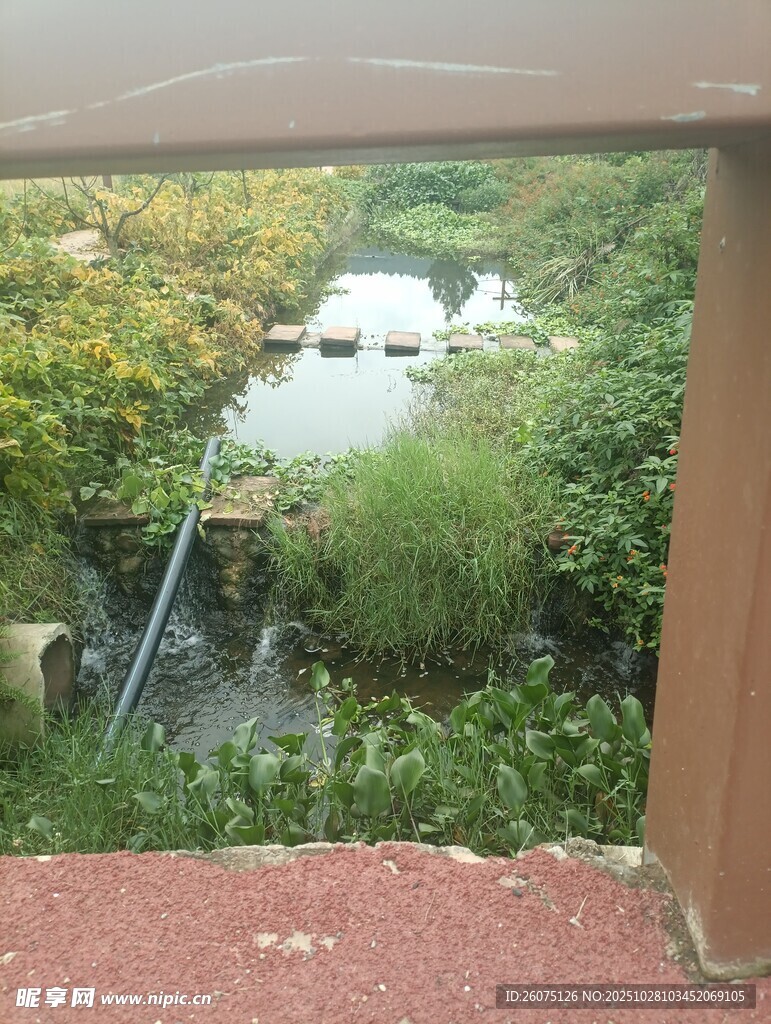 窗外绿意盎然的自然景致