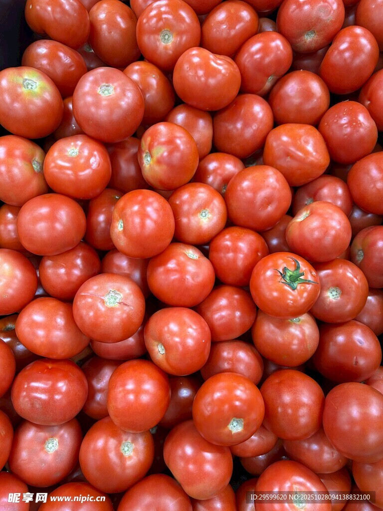 新鲜饱满的红番茄