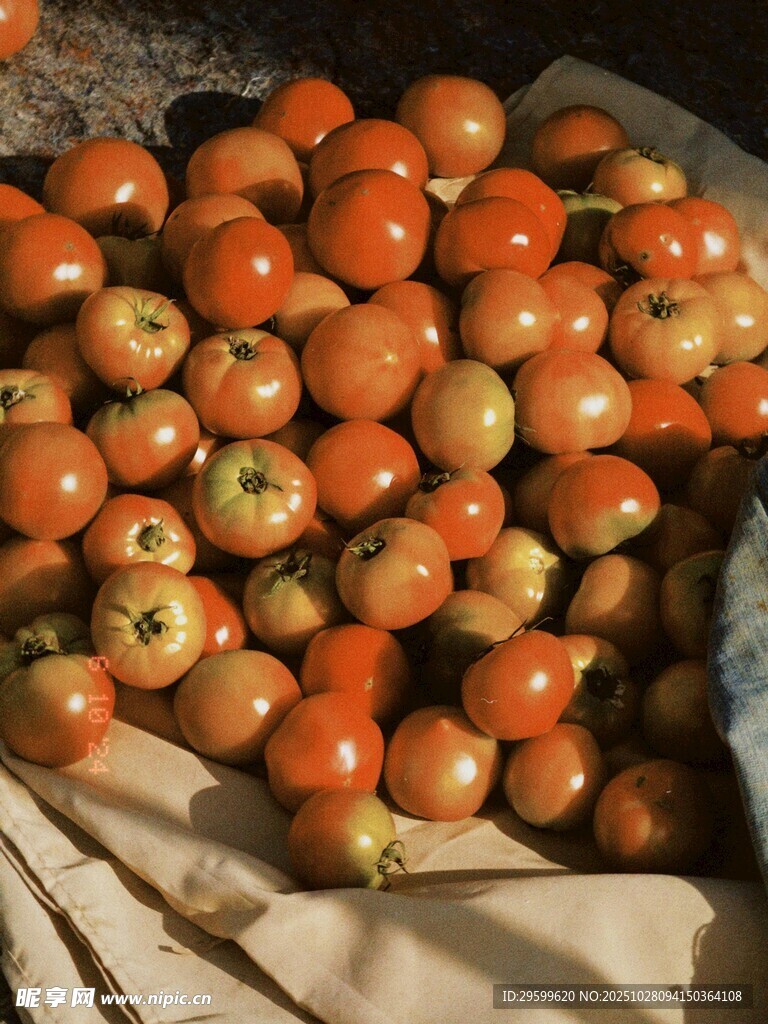 一堆新鲜诱人的小番茄