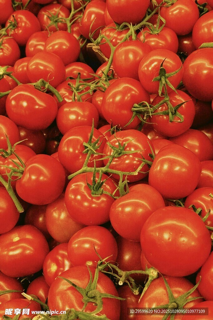 新鲜饱满的红番茄