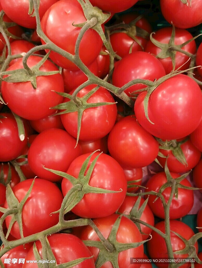 新鲜红番茄 