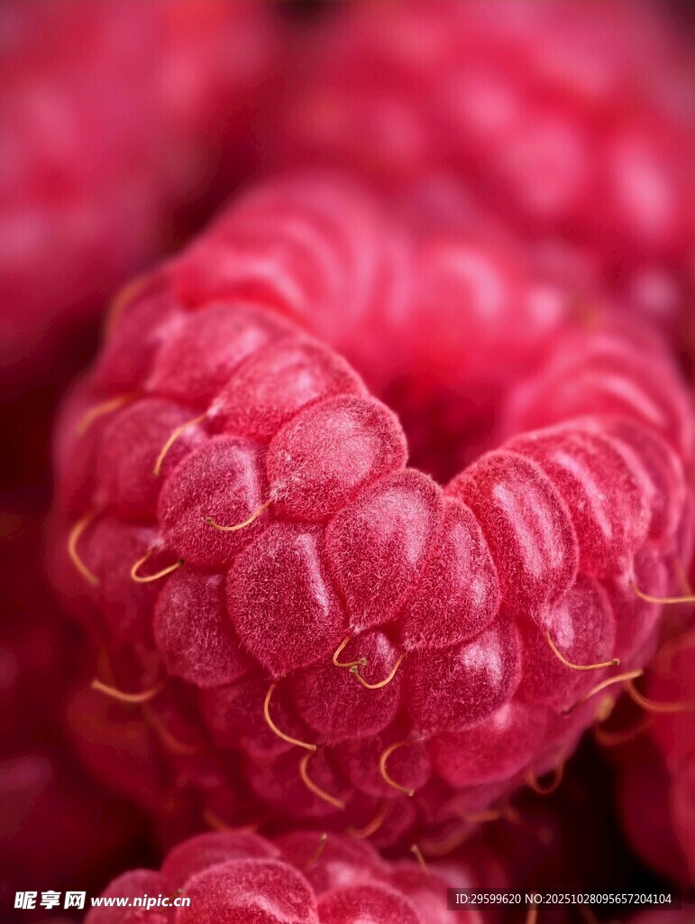 新鲜诱人的覆盆子