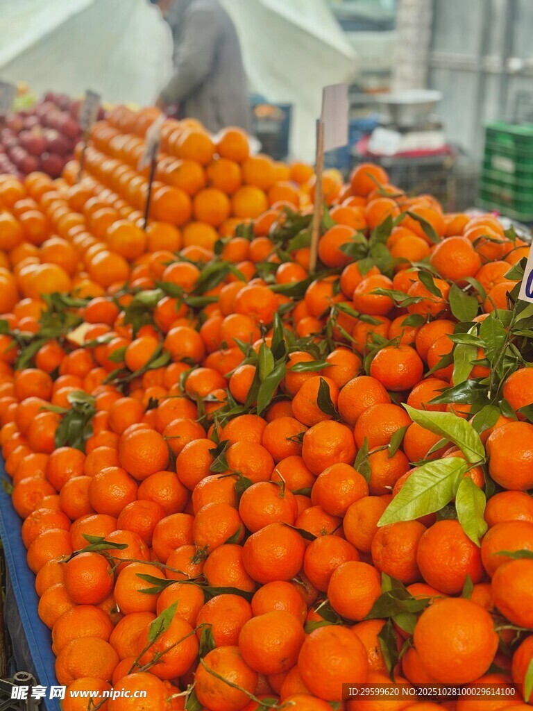 超市里堆积如山的新鲜橘子
