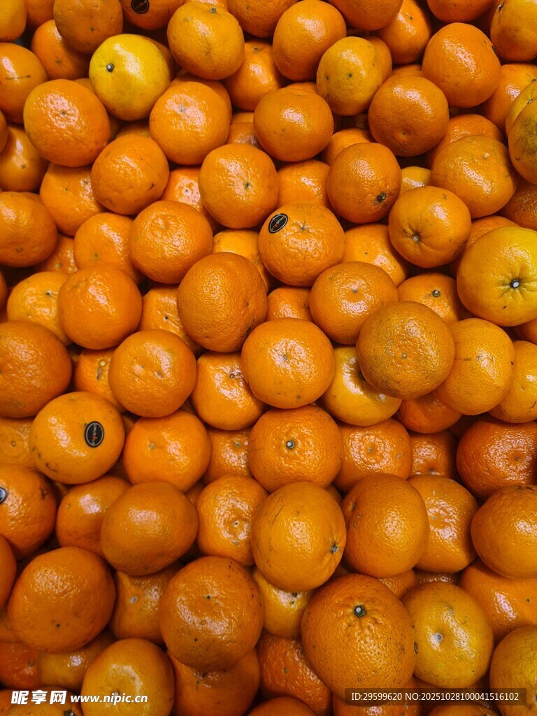 饱满金桔堆成诱人景观