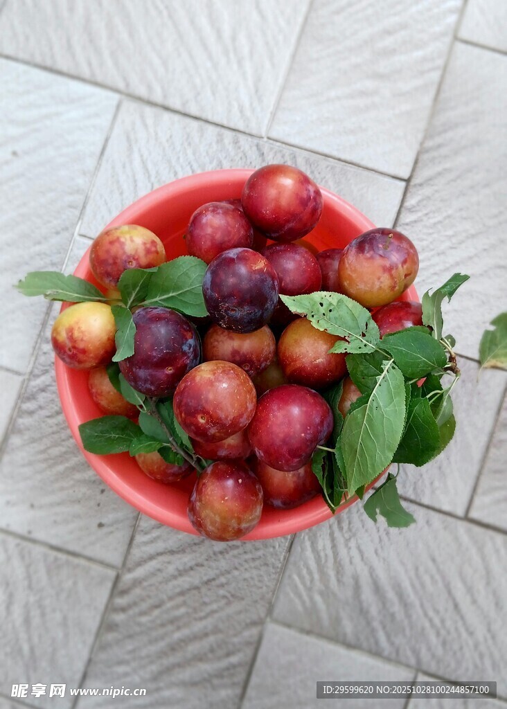 红碗盛多彩李子带绿叶