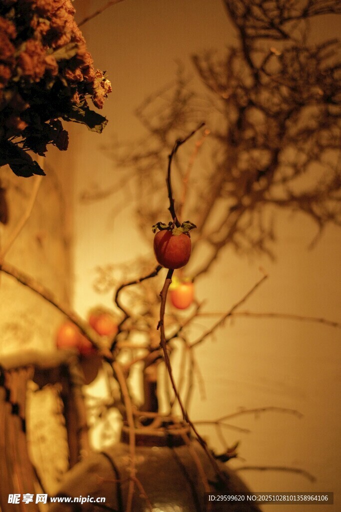 室内温馨装饰小景