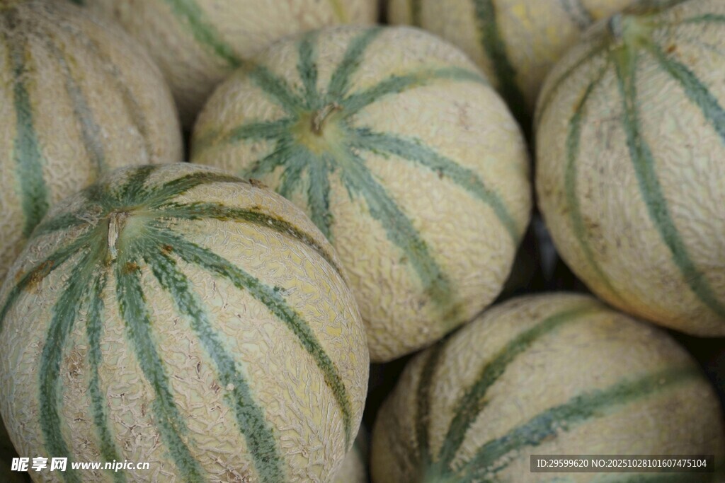 一堆条纹甜瓜