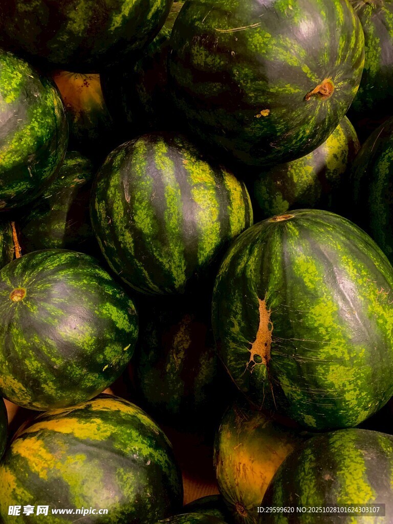一堆新鲜的条纹西瓜
