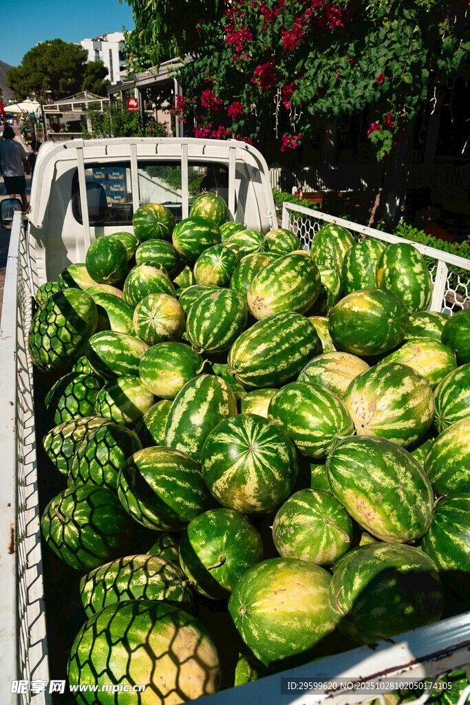 卡车上满载的新鲜大西瓜