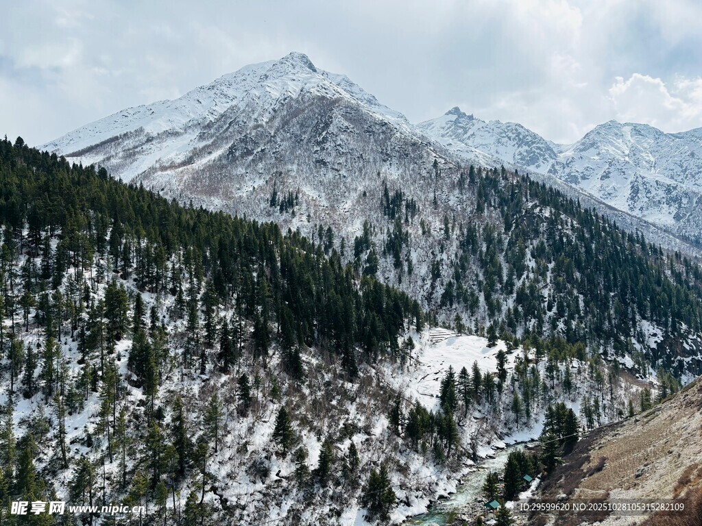 雪山森林壮丽自然景观