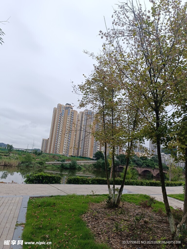 城市公园旁的高层住宅区