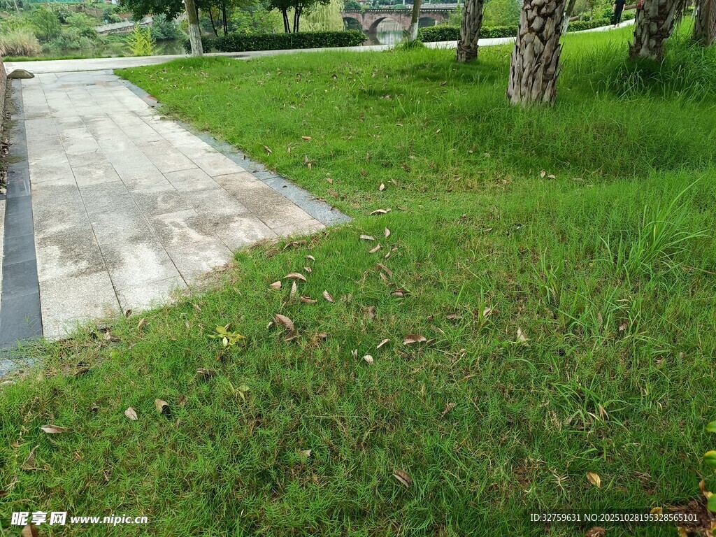 户外草地与水泥小路景观