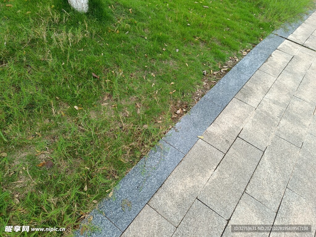 草坪与砖石路面景观