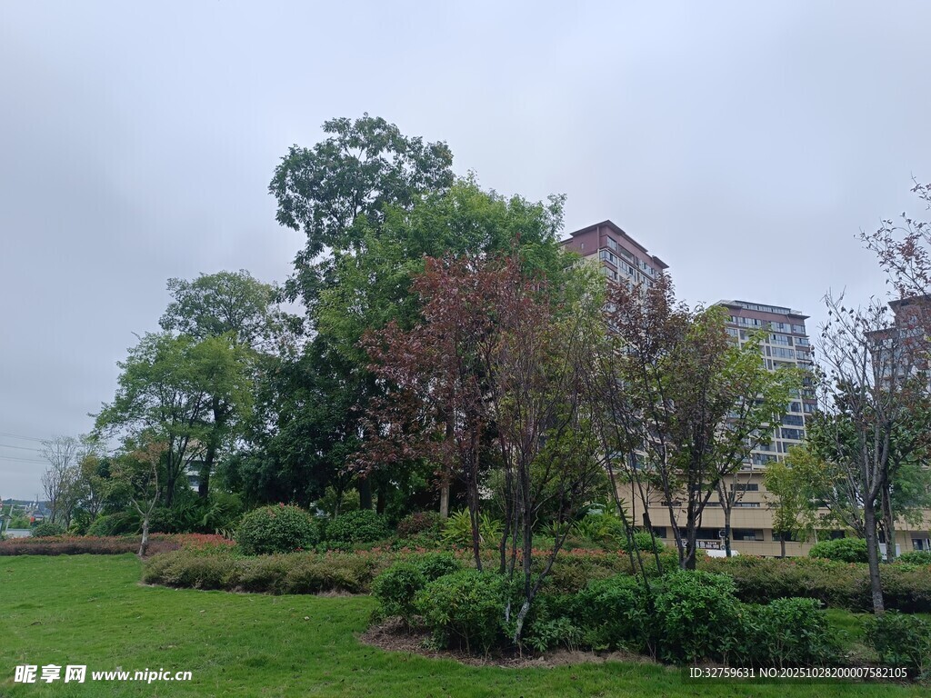 公园绿植环绕的建筑景观