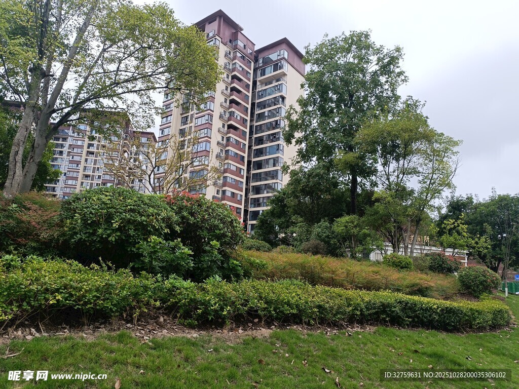 高层住宅旁的绿意景观